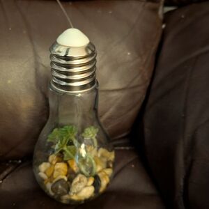 Hanging Ornament - Light Bulb With Plant, Rocks And Soil
